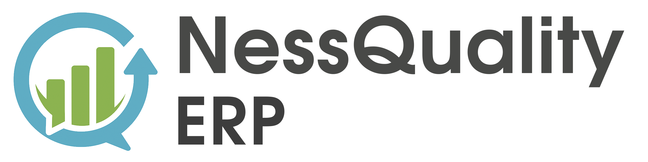 NessQuality Logo
